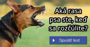 Aká rasa psa ste, keď sa rozčúlite?
