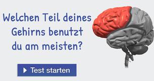 Welchen Teil deines Gehirns benutzt du am meisten? 