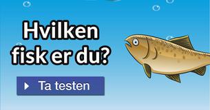 Hvilken fisk er du?