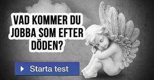 Vad kommer du jobba som efter döden?