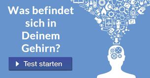 Was befindet sich in Deinem Gehirn?