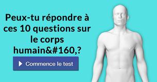 Peux-tu répondre à ces 10 questions sur le corps humain ?