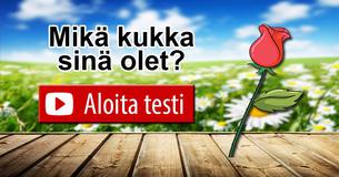 Mikä kukka sinä olet? 