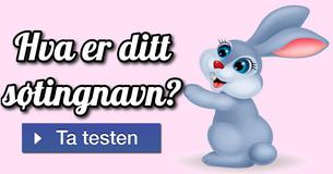 Hva er ditt søtingnavn?