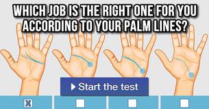 Which job do you palm lines say would suit you best?