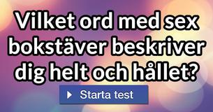 Vilket ord med sex bokstäver beskriver dig helt och hållet?