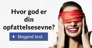 Hvor god er din opfattelsesevne?