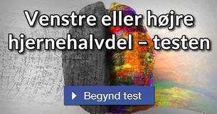 Venstre eller højre hjernehalvdel – testen