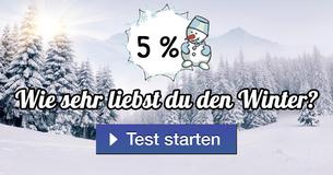 Wie sehr liebst du den Winter?