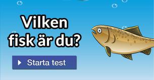 Vilken fisk är du? 