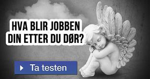 Hva blir jobben din etter du dør?