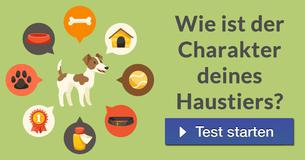 Wie ist der Charakter deines Haustiers?