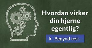 Hvordan virker din hjerne egentlig?