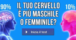 Il tuo cervello è più maschile o femminile?