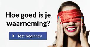 Hoe goed is je waarneming?