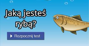 Jaką jesteś rybą?