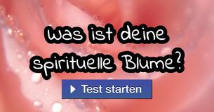 Was ist deine spirituelle Blume? 