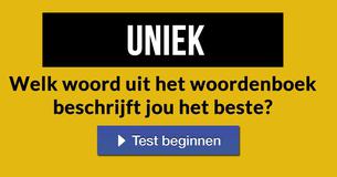 Welk woord uit het woordenboek beschrijft jou het beste?