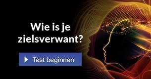 Wie is je zielsverwant?