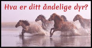 Hva er ditt åndelige dyr?