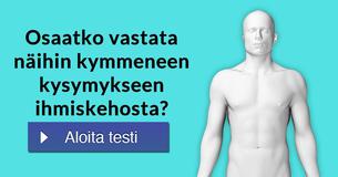 Osaatko vastata näihin kymmeneen kysymykseen ihmiskehosta?