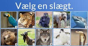 Hvilken blanding af dyr er du?