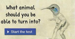 What animal should you be able to turn into?
