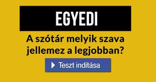 A szótár melyik szava jellemez a legjobban?