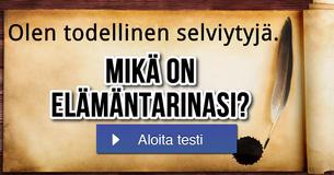 Mikä on elämäntarinasi?
