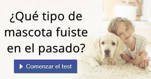¿Qué tipo de mascota fuiste en el pasado?