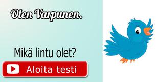 Mikä lintu olet?