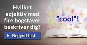 Hvilket adjektiv med fire bogstaver beskriver dig?