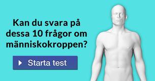 Kan du svara på dessa 10 frågor om människokroppen?