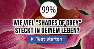 Wie viel "Shades of Grey" steckt in deinem Leben?