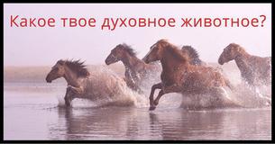 Какое твое духовное животное?