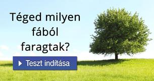 Téged milyen fából faragtak? 