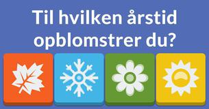 Hvad er dit kald?