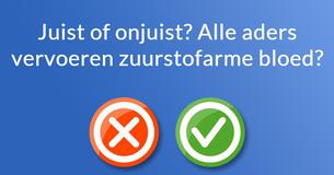 Kun jij antwoord geven op deze fundamentele vragen over de menselijke anatomie?