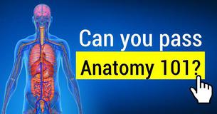 QUIZ: How well will you score in Anatomy 101?