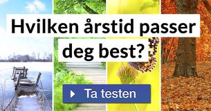 Hvilken årstid passer deg best?