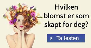 Hvilken blomst er som skapt for deg?