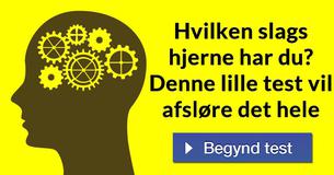 Hvilken slags hjerne har du? Denne lille test vil afsløre det hele