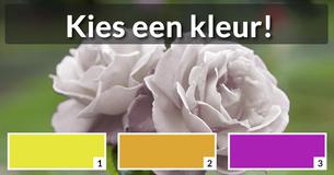 Welke bloem ben jij?