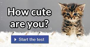 How cute are you?