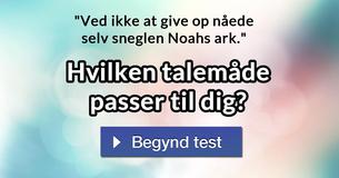 Hvilken talemåde passer til dig?