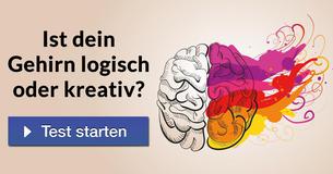 Ist dein Gehirn logisch oder kreativ?