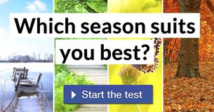 Which season suits you best?